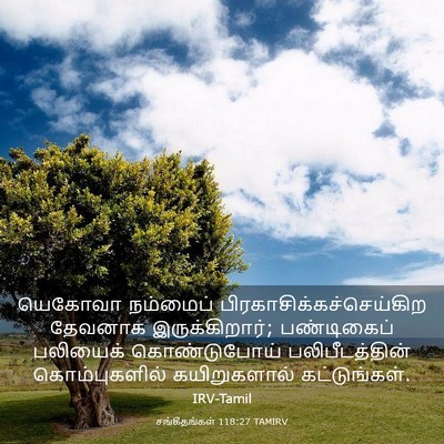 Picture 03 - சங்கீதங்கள் 118:27 TAMIRV - யெகோவா நம்மைப் - Bible Verse Picture