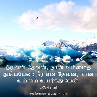Picture 03 - சங்கீதங்கள் 118:28 TAMIRV - நீர் என் தேவன், - Bible Verse Picture