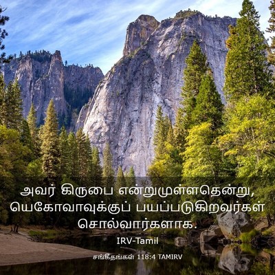 Picture 03 - சங்கீதங்கள் 118:4 TAMIRV - அவர் கிருபை - Bible Verse Picture