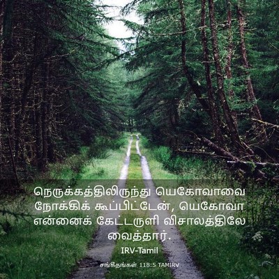Picture 03 - சங்கீதங்கள் 118:5 TAMIRV -  - Bible Verse Picture