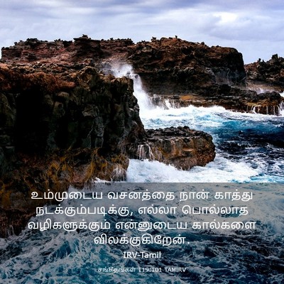 Picture 03 - சங்கீதங்கள் 119:101 TAMIRV - உம்முடைய வசனத்தை - Bible Verse Picture