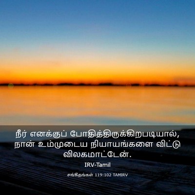 Picture 03 - சங்கீதங்கள் 119:102 TAMIRV - நீர் எனக்குப் - Bible Verse Picture