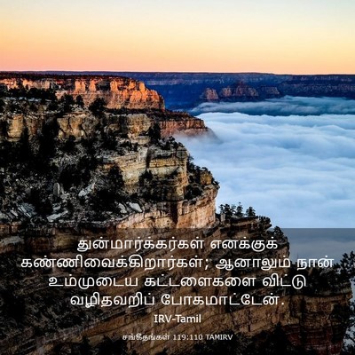 Picture 03 - சங்கீதங்கள் 119:110 TAMIRV - துன்மார்க்கர்கள் - Bible Verse Picture