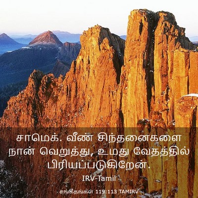 Picture 03 - சங்கீதங்கள் 119:113 TAMIRV - சாமெக். வீண் - Bible Verse Picture