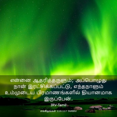 Picture 03 - சங்கீதங்கள் 119:117 TAMIRV - என்னை - Bible Verse Picture