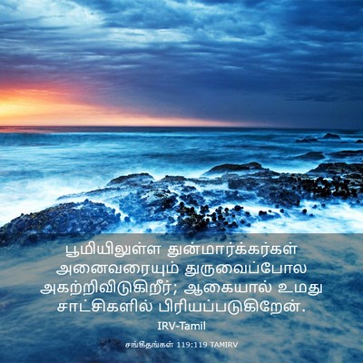 Picture 03 - சங்கீதங்கள் 119:119 TAMIRV - பூமியிலுள்ள - Bible Verse Picture
