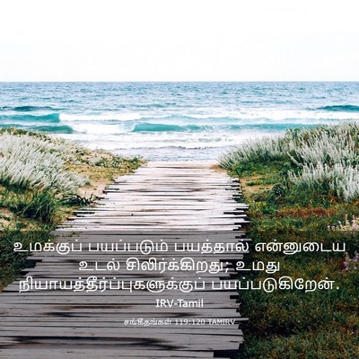 Picture 03 - சங்கீதங்கள் 119:120 TAMIRV - உமக்குப் - Bible Verse Picture