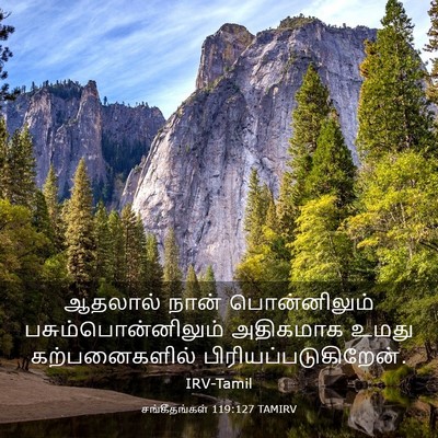 Picture 03 - சங்கீதங்கள் 119:127 TAMIRV - ஆதலால் நான் - Bible Verse Picture