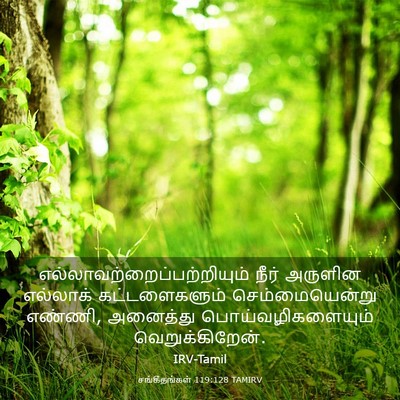 Picture 03 - சங்கீதங்கள் 119:128 TAMIRV -  - Bible Verse Picture