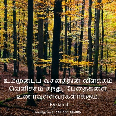 Picture 03 - சங்கீதங்கள் 119:130 TAMIRV - உம்முடைய - Bible Verse Picture