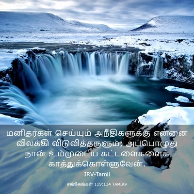 Picture 03 - சங்கீதங்கள் 119:134 TAMIRV - மனிதர்கள் - Bible Verse Picture