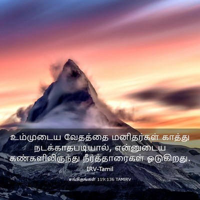 Picture 03 - சங்கீதங்கள் 119:136 TAMIRV - உம்முடைய வேதத்தை - Bible Verse Picture
