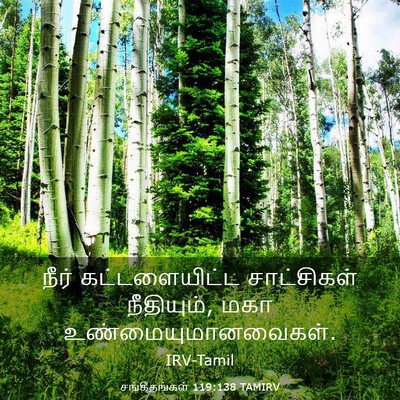 Picture 03 - சங்கீதங்கள் 119:138 TAMIRV - நீர் கட்டளையிட்ட - Bible Verse Picture