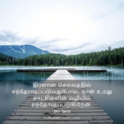 Picture 03 - சங்கீதங்கள் 119:14 TAMIRV - திரளான - Bible Verse Picture