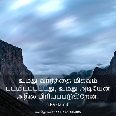 Picture 03 - சங்கீதங்கள் 119:140 TAMIRV - உமது வார்த்தை - Bible Verse Picture