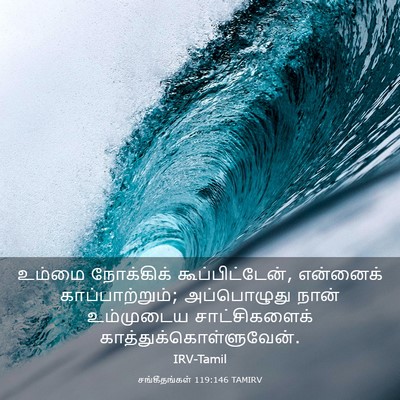 Picture 03 - சங்கீதங்கள் 119:146 TAMIRV - உம்மை நோக்கிக் - Bible Verse Picture