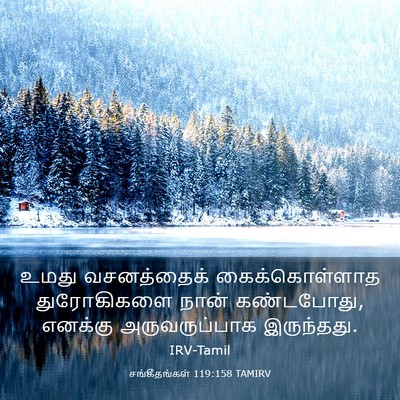 Picture 03 - சங்கீதங்கள் 119:158 TAMIRV - உமது வசனத்தைக் - Bible Verse Picture
