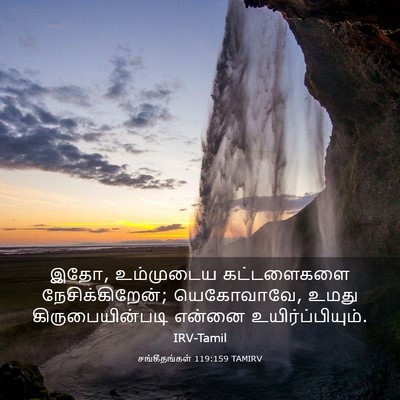 Picture 03 - சங்கீதங்கள் 119:159 TAMIRV - இதோ, உம்முடைய - Bible Verse Picture