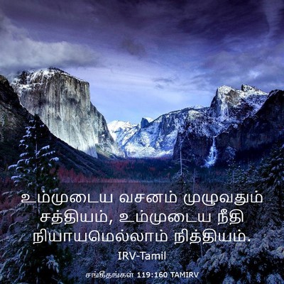 Picture 03 - சங்கீதங்கள் 119:160 TAMIRV - உம்முடைய வசனம் - Bible Verse Picture