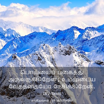 Picture 03 - சங்கீதங்கள் 119:163 TAMIRV - பொய்யைப் பகைத்து - Bible Verse Picture