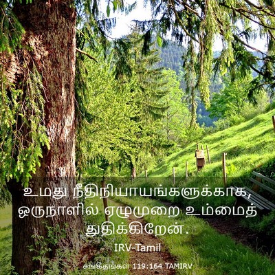 Picture 03 - சங்கீதங்கள் 119:164 TAMIRV - உமது - Bible Verse Picture