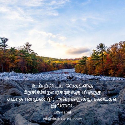 Picture 03 - சங்கீதங்கள் 119:165 TAMIRV - உம்முடைய வேதத்தை - Bible Verse Picture