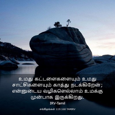 Picture 03 - சங்கீதங்கள் 119:168 TAMIRV - உமது - Bible Verse Picture