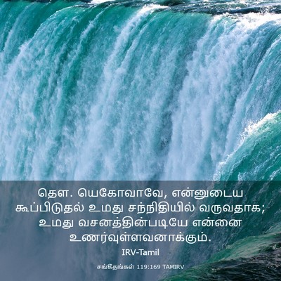 Picture 03 - சங்கீதங்கள் 119:169 TAMIRV - தெள. யெகோவாவே, - Bible Verse Picture