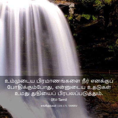 Picture 03 - சங்கீதங்கள் 119:171 TAMIRV - உம்முடைய - Bible Verse Picture