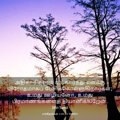 Picture 03 - சங்கீதங்கள் 119:23 TAMIRV - அதிகாரிகளும் - Bible Verse Picture