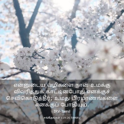 Picture 03 - சங்கீதங்கள் 119:26 TAMIRV - என்னுடைய வழிகளை - Bible Verse Picture
