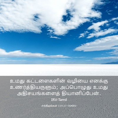 Picture 03 - சங்கீதங்கள் 119:27 TAMIRV - உமது கட்டளைகளின் - Bible Verse Picture