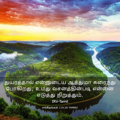 Picture 03 - சங்கீதங்கள் 119:28 TAMIRV - துயரத்தால் - Bible Verse Picture