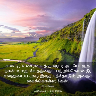 Picture 03 - சங்கீதங்கள் 119:34 TAMIRV - எனக்கு உணர்வைத் - Bible Verse Picture