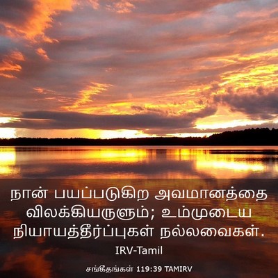Picture 03 - சங்கீதங்கள் 119:39 TAMIRV - நான் பயப்படுகிற - Bible Verse Picture