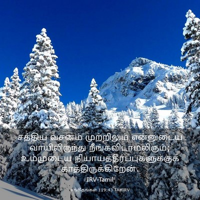 Picture 03 - சங்கீதங்கள் 119:43 TAMIRV - சத்திய வசனம் - Bible Verse Picture