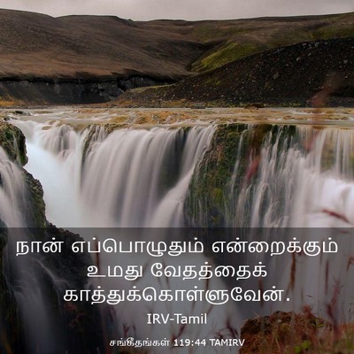 Picture 03 - சங்கீதங்கள் 119:44 TAMIRV - நான் எப்பொழுதும் - Bible Verse Picture