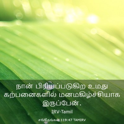 Picture 03 - சங்கீதங்கள் 119:47 TAMIRV - நான் - Bible Verse Picture