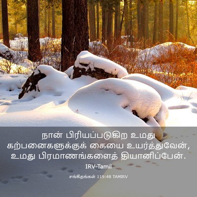 Picture 03 - சங்கீதங்கள் 119:48 TAMIRV - நான் - Bible Verse Picture