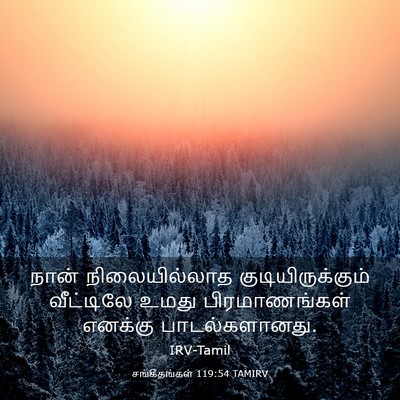 Picture 03 - சங்கீதங்கள் 119:54 TAMIRV - நான் நிலையில்லாத - Bible Verse Picture