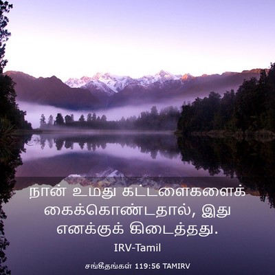 Picture 03 - சங்கீதங்கள் 119:56 TAMIRV - நான் உமது - Bible Verse Picture