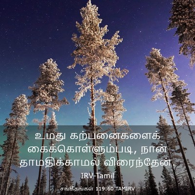 Picture 03 - சங்கீதங்கள் 119:60 TAMIRV - உமது கற்பனைகளைக் - Bible Verse Picture