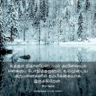 Picture 03 - சங்கீதங்கள் 119:66 TAMIRV - உத்தம - Bible Verse Picture