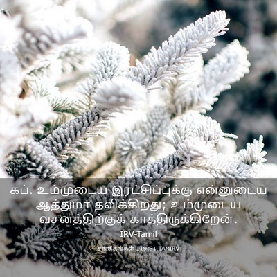 Picture 03 - சங்கீதங்கள் 119:81 TAMIRV - கப். உம்முடைய - Bible Verse Picture