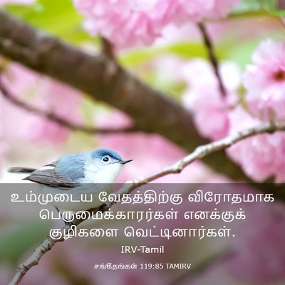 Picture 03 - சங்கீதங்கள் 119:85 TAMIRV - உம்முடைய - Bible Verse Picture