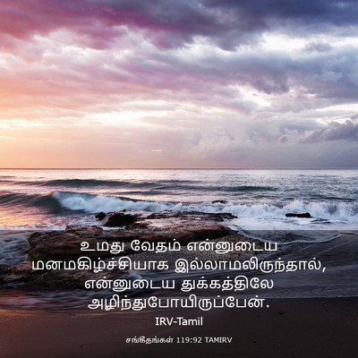 Picture 03 - சங்கீதங்கள் 119:92 TAMIRV - உமது வேதம் - Bible Verse Picture