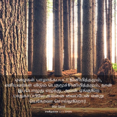 Picture 03 - சங்கீதங்கள் 12:5 TAMIRV - ஏழைகள் - Bible Verse Picture