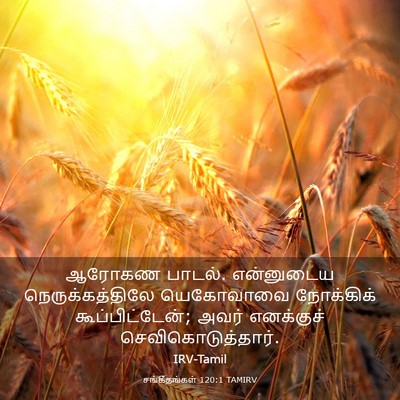Picture 03 - சங்கீதங்கள் 120:1 TAMIRV - ஆரோகண பாடல். - Bible Verse Picture