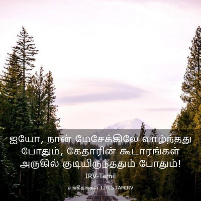 Picture 03 - சங்கீதங்கள் 120:5 TAMIRV - ஐயோ, நான் - Bible Verse Picture