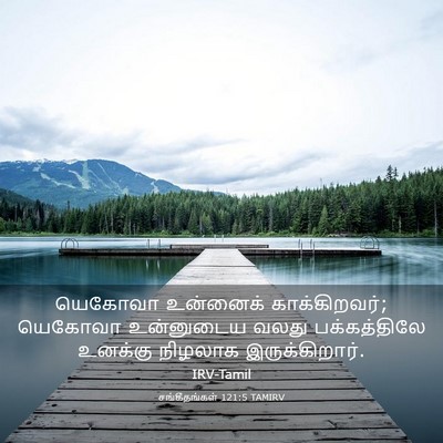 Picture 03 - சங்கீதங்கள் 121:5 TAMIRV - யெகோவா உன்னைக் - Bible Verse Picture